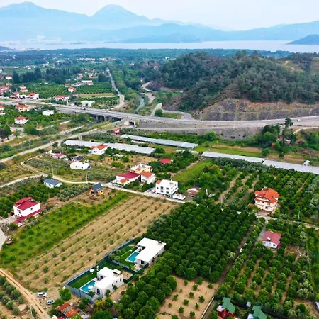 Arda * Fethiye